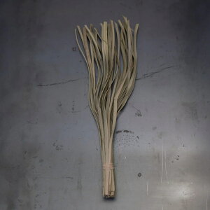 hCt[ CASTO PALM LAZER NATURAL i p[ V } } CeA ԍ i`  IuWF fBXvC G A ˂ } ؂̎} Mtg CeAG  r