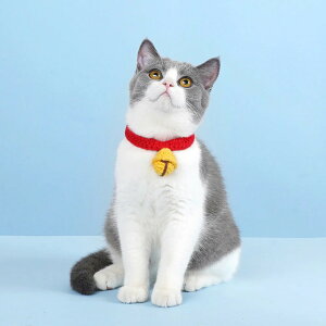  L Tink Scarf i Lp Lp lR 킢  TCY\  􂦂 L L̎ _炩 Rbg ҂ݕ ybgpi jy39Vbvz