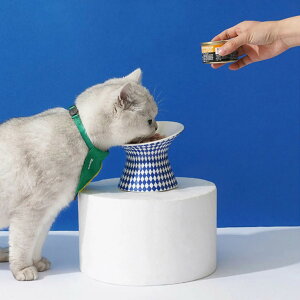 t[h{E Pet High-heels Bowl ZEZE  i ybg{E rt ΂ L ybgp aM GTM Hׂ₷ ybgpH  Lp ~ߕt ybgpi jy39Vbvz