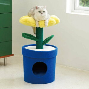 Lbg^[ Pot Pet House YELLOW ZEZE LnEX i L^[ u w ܂Ƃ LbgnEX xbh 킢 CeA ybgnEX ybgxbh NbVt L ˂ Vя Xg