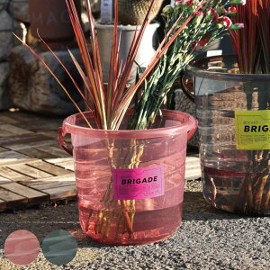 oPc oPbguQ[h S M 7.5L 15.5L i ΂ 7.5L 15.5L vX`bN | [ Wt  AEghA  | |pi [ [{bNX  jy39Vbvz