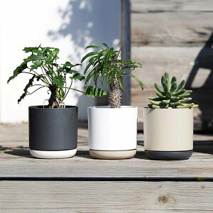 Aؔ GXW[AC|bg S M 5 6 󂯎Mt i t[|bg vg|bg v^[|bg  A CeA Aւ  ϗtA A T{e | 󂯎M 