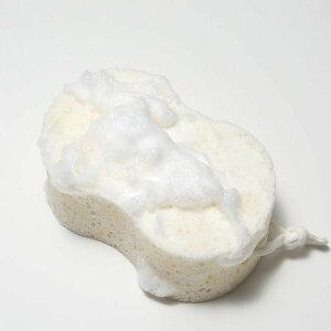 marna }[i \tgX|W B251 i X|W \tg {fB^I {fB[^I ӂӂ  ӂ 킾 A oXpi ^I  炩 jy39Vbvz