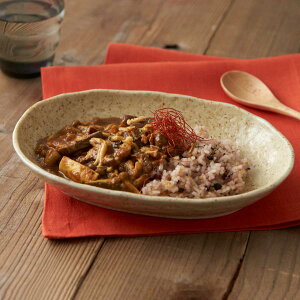 カレー皿 23cm 楕円 黄伊羅保 皿 食器 陶器 美濃焼 日本製 ( 食洗機対応 電子レンジ対応 オーバル パスタ皿 中皿 お皿 オーバルプレート カレーボウル パスタボウル サラダ カレー パスタ お