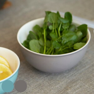 yʃ{E L 550ml dqWΉ H@Ή BOWL WITH LID i  {E   Lb` {[ ϔM  H WΉ W H@ Lb`c[ LTCY 炦  