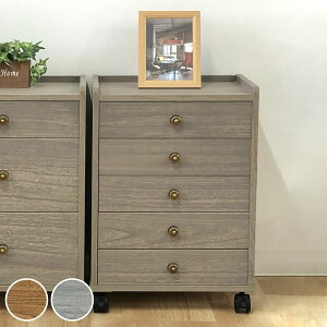 ˃`FXg 40cm 5i LX^[t A4[ { i `FXg  i`FXg VR A4  ؐ o LX^[ ܒi [ Ƌ i` O[ jy39Vbvz