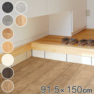  ͗lւ CN V[g 91.5×150 cm i   O h x_ oRj[ L   ی  y ~ }bg ȒP  mx[V tH[ DIY ؖ e ^