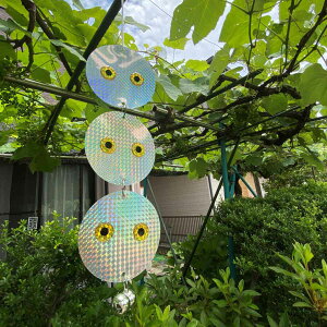 悯 sJbg3Z 12×41cm ݂艺 i  Q΍    t ǂ O ƒ؉  ȒP ݂邷 ݉ x_  ΍ObY  j y39Vbvz