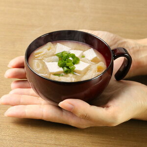 `o ԗ t N[R[gH 270ml Rh i H@Ή dqWΉ o o X[v{E X`q zq y ɂ t H X` vX`bN 