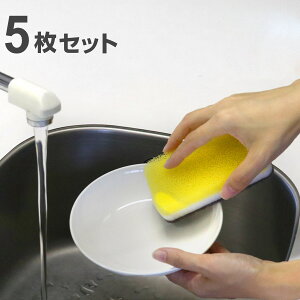 v[g 16cm N[R[g zCg vX`bN 5Zbg i H@Ή dqWΉ M M M M y ɂ pX^ ϕ [ ύݗ T_   vX