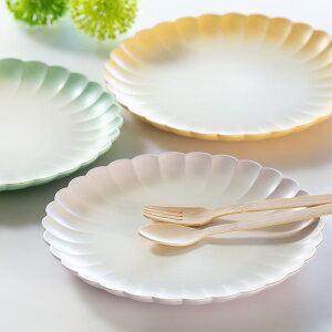 v[g 24cm L t[v[g Shell vX`bN i H@Ή dqWΉ M M v[g y ɂ AEghA Lv sNjbN ^ Jt C 