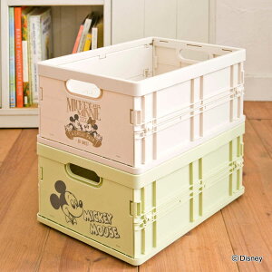 [{bNX fBYj[ X^bLO~jRei i 25×s35×17cm [ ~bL[}EX ~j[}EX [P[X ܂肽 X^bLO vX`bN Rei t 