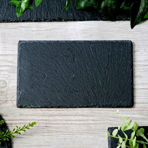 X[g 20cm גp M.STYLE CU[RNV S i X[gv[g pM M M X[g{[h fU[g P[L ܂ aَq pM tbg VRf   j y3