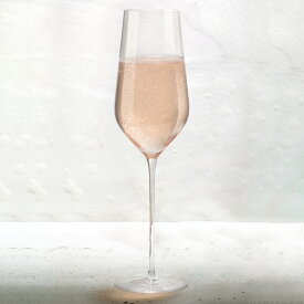シャンパングラス 285ml NUDE ステムゼロ ガラス （ 食洗機対応 グラス コップ カップ ガラスコップ 耐久性 丈夫 職人 シンプル 軽量 シャンパン お酒 アルコール ボックス入り ギフト おしゃれ ）【39ショップ】