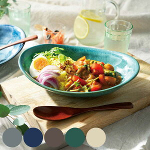 カレー皿 24cm オーバル 窯変 磁器 ( 食洗機対応 電子レンジ対応 オーバル皿 お皿 皿 大皿 楕円 パスタ皿 カレー シチュー パスタ 煮込み料理 メイン料理 おしゃれ )【39ショップ】