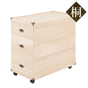 ˎ[ ЂȐl`P[X 3i LX^[t 81.5cm i   [ ߑP[X i  ˈߑ ˈߑP[X [P[X ЂȐl` l` LX^[  j y39Vbvz