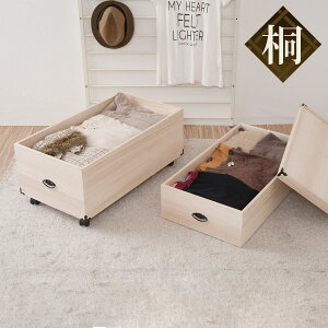  ߑP[X 2i [ ߏ֔ LX^[t  54.5cm i  ˈߑP[X ˈߑ [ P[X ߑ ߗގ[ ː ؐ i ˃P[X [P[X [{bNX 