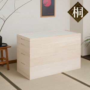  ߑP[X 42cm 4i LX^[t { i ːS i [P[X ߑ  X^bLO L h VR [ Ƌ ςݏd |YV[g z  Y li LX^[ j