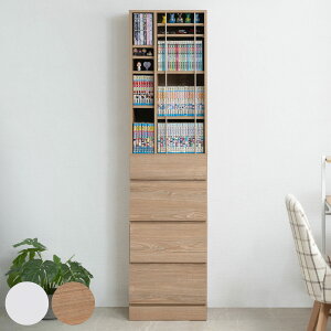 {I 45.5cm eʎ[ ot fBXvC i R~bNbN o 4i RpNg I [I rO[ ֎[ Lb`[  [Ƌ ؖڒ zCg jy39V