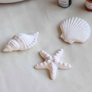 A}Xg[ V[x[X  i A} A}IC  F 킢 u CeA { Lk qgf RC [tOX tOX   gC Vv 