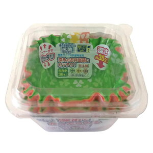 Jbv [߂̂P[X lp 36 i ٓJbv 36 WΉ  ٓ q { WOK ׂƂJbv Jbv ٓp qp ct ۈ牀 