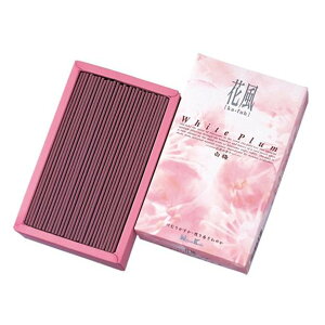  ԕ ~ ol i  { Ȃ  ƒp 25R d Q ފ  @ O ~  E t[   V~ ~ Ε @v A TԂ 