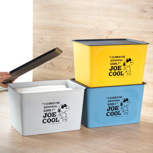 [{bNX L 38×s27×24cm Xk[s[ RNgBOX t^t i [P[X [ vX`bN [ { P[X ςݏd   P[X {bNX ӂt 