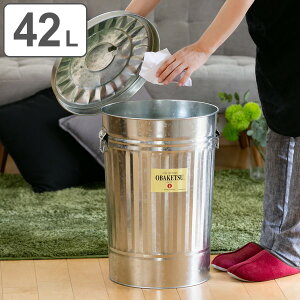 S~ 42L IoPc OBAKETSU Op Vo[ ݔ g^ i  ӂt 42 bg _Xg{bNX ~ oPc^ [ [P[X [{bNX O  ی^ y[ rO 