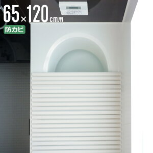 Cӂ Vb^[ |v 65×120cm p S12 i CW Ct^ C ӂ hJr Vb^[^Cv Vb^[Cӂ y  y 60×120 60 120 S-12 jy39Vbvz