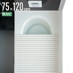 Cӂ Vb^[ |v 75×120cm p L12 i CW Ct^ C ӂ hJr Vb^[^Cv Vb^[Cӂ y  y 75×120 75 120 L-12 jy39Vbvz