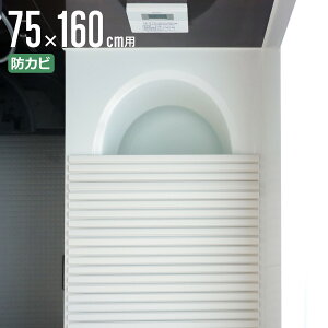 Cӂ Vb^[ |v 75×160cm p L16 i CW Ct^ C ӂ hJr Vb^[^Cv Vb^[Cӂ y  y 75×160 75 160 L-16 jy39Vbvz