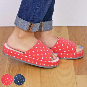 Xbp }`hbgRtH[g MTCY i [V[Y [Xbp ᔽ    OJ fB[X [T_ p  ɂ Lb` Ǝ 