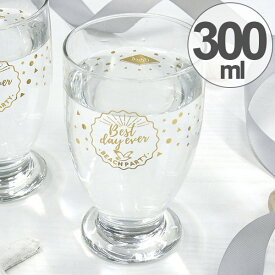 コップ 300ml ガラス カモメ 食器 （ グラス ガラス製 ガラスコップ ロゴ タンブラー カップ ガラスタンブラー 透明 クリア ガラス食器 箱入り 夏 おしゃれ ） 【39ショップ】