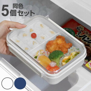 お弁当箱 1段 まるごと冷凍弁当 650ml 5個セット タイトボックス ( 弁当箱 作り置き レンジ対応 食洗機対応 冷凍 一段 仕切り付き 保存容器 レンジOK 食洗機OK 作りおき お弁当 弁当 保存 容器