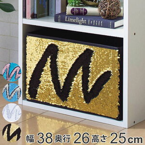 J[{bNX 38×s26×25cm Ci[{bNX XpR[ i [{bNX [P[X o [ Ci[P[X sDz {bNX P[X t ܂肽 RpNg 