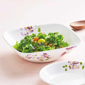 {E 22.5cm XNGA R[ CORELLE oCIbg~Xg i H@Ή dqWΉ I[uΉ ϔM T_{E    ԕ lp y ɂ H pM pX^ J