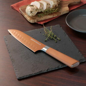 O 16.5cm fBvt VISIONS GOLD Coating i  \ Lb`iCt Z~bNz tbfH fBvH 16.5Z`  ӂfH Kтɂ ؂ꖡQ 