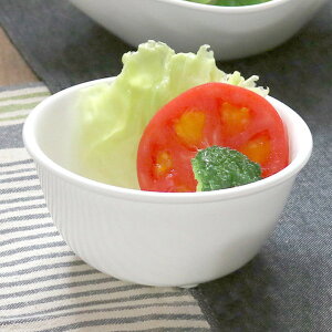 {E 12.5cm CORELLE R[ EC^[tXg 5Zbg i H@Ή dqWΉ I[uΉ  T_{E  y ɂ v  T_ VA{E  E