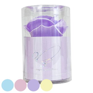 Ό T[N[Y Ԃ̃J^`̐΂ Q-FLA i ΂ nh\[v ێ  KN  q Mtg 蕨 v[g pE_[zCg y[u[ pE_[sN y[p[v