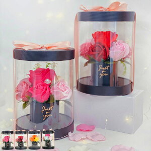  GKgAW \[vt[ Ԃ̃J^`̓ Q-FLA i C  C bNX v[g  Mtg{bNX ΂̍ Mtg oXObY oXpi  ϔ s