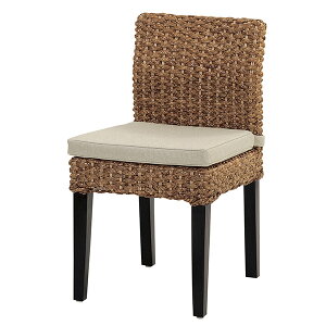 _CjO`FA AWAƋ Water hyacinth ʍ49cm i  `FA `FA[ NbVt AWA qVX ^ ِ ֎q CX _CjO`FA[ EH[^[qV