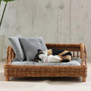  ybgxbh NbVt ^ 60cm i  xbh \t@[ ybgnEX nEX ybg \t@ Jh[ oXPbg  ^ AWA i` y R VRf 