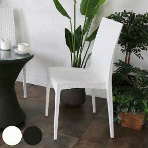 K[f`FA ^҂ݕ _CjO`FA ʍ46cm i  `FA _CjO`FA[ `FA[ CX  ֎q p[\i`FA O X^bLO ^ C AWA 