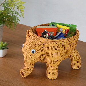  ~joXPbg ]E ^ 20cm i   Aj}  Aj}oXPbg oXPbg G CeA IuWF    ^ JS  [oXPbg ىƋ 