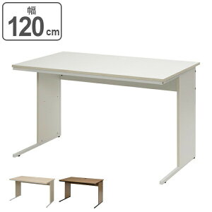 【法人限定】 デスク ワーキングデスク 幅120cm×奥行70cm ワークデスク ( 送料無料 机 パソコンデスク オフィスデスク 120 ワイド PCデスク 学習机 勉強机 つくえ 平机 配線収納 奥行き70 センチ