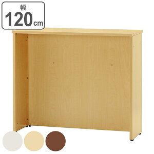 y@lz nCJE^[ WFCV[Y 120cm s45cm t JE^[ ؖڒ e[u i  tJE^[ t ItBX CtH[V AWX^[t X I