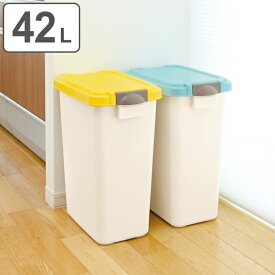 ゴミ箱 42L 屋外兼用 ふた付き 分別 パッキン ペール 防臭カバー付 （ ごみ箱 42リットル パッキン付き ニオイ漏れ防止 おむつ キッチン 生ゴミ ダストボックス 庭 外 台所 フタ付き 袋 見えない ）【39ショップ】