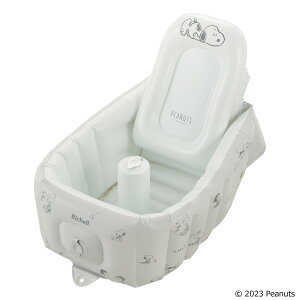 xr[oX oX`FA ӂӂ XebvAbv GA[xr[oX Xk[s[ i b`F xr[ oX GA[ C  Xgbp[t  Ԃ xr[`FA RpNg VN 