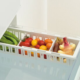 冷蔵庫収納 トトノ 野菜・冷凍庫 伸縮ストッカー （ 浅型 深型 スリム レギュラー 伸縮 冷凍庫収納 冷蔵庫 冷凍庫 冷凍庫スタンド 冷蔵庫スタンド 野菜室 収納 収納ケース 収納ストッカー 冷凍室 冷凍食品 野菜 仕切り ）【39ショップ】