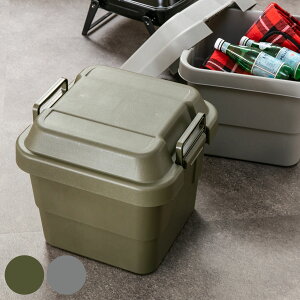 収納ボックス 幅40×奥行39×高さ37cm トランクカーゴ スタンダード 30L TC-30 ( 座れる 収納ケース 収納 ボックス フタ付き ケース 頑丈箱 工具箱 プラスチック アウトドア 持ち手付き 日本製 お